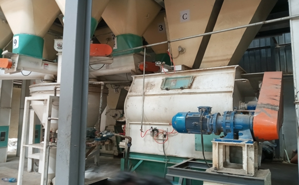 飼料機(jī)械設(shè)備的應(yīng)用有助于減少豬只糞便的產(chǎn)生量