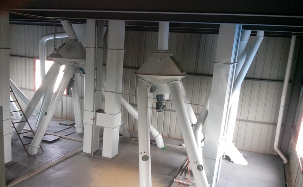 飼料生產(chǎn)設備能為動物的健康成長提供有力保障