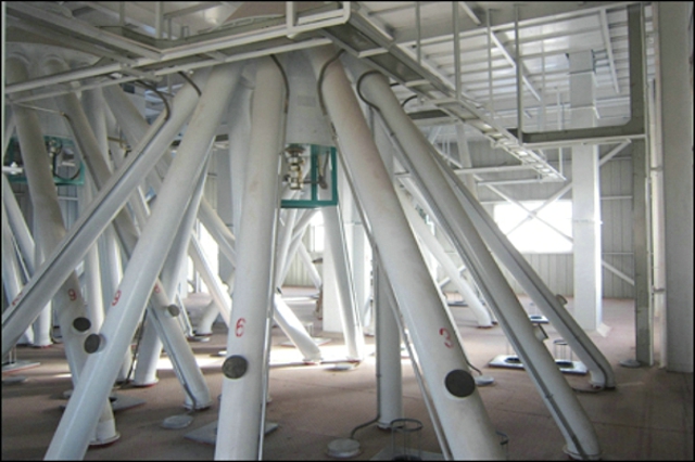 顆粒飼料機(jī)器有助于推動(dòng)養(yǎng)殖業(yè)的現(xiàn)代化進(jìn)程